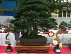 RUBI Sukabumi Gelar Festival Bonsai, Bupati Berharap Dilaksanakan Secara Rutin