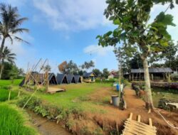 Desa Wisata Cisande Sukabumi Tawarkan Konsep Agrowisata yang Menarik Wisatawan