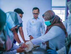 Wali Kota Bogor Cek Kantor DKPP, Pastikan Pelayanan Berjalan dengan Baik.