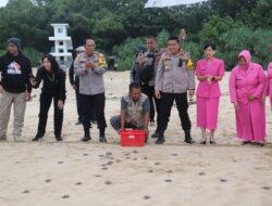 Kapolres Sukabumi Kunjungi Konservasi Penyu di Ciracap, Lakukan Pelepasan Tukik