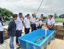 Dampingi Menteri KKP, Kadis Nunung Sebut Pelestarian Ikan Lokal Jadi Concern Bersama