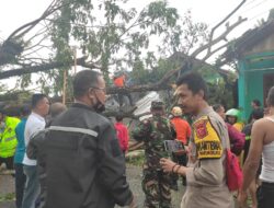 Pohon Tumbang Hambat Lalin di Warungkiara, Polisi dan Tim Gabungan Sigap Evakuasi