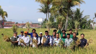 Panen Padi IP 400 Bersama Poktan Seroja Cibeureum, Wali Kota Sukabumi : Inovasi Menjaga Ketahanan Pangan