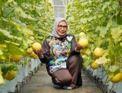 Melon Made Fresh Kota Bogor Pikat Wisatawan