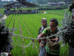 Bima Arya Resmikan Musala di AEWO Mulyaharja Bersama Pejuang Musala