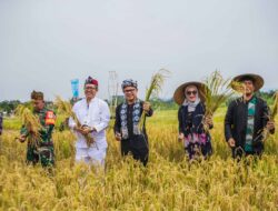 Khawatir Dikuasai Pengembang, Bima Arya Titip Jaga Lahan Pertanian Mulyaharja