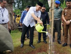 Dirjen Planologi Kementerian LHK dan Wawalkot Bogor Pimpin Penanaman Pohon di Di Alun-alun
