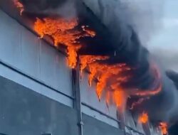 Bangunan Peternakan Ayam di Sinagar Nagrak Terbakar, DPKP Kerahkan Damkar Posko Cibadak dan Cisaat
