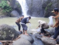 Dinas Perikanan Kabupaten Sukabumi Restocking 9 Ribu Ikan Nilem di DAS Kecamatan Cikakak