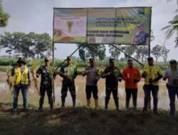 Cegah Longsor Bantaran Sungai, Sektor 6 Citarum Harum Laksanakan Penanaman Vertiver