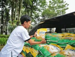 Bulog Jabar Salurkan Beras SPHP, Jamin Stok Cukup Hingga Ramadan dan Idulfitri