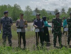 Lindungi Abrasi, UNHAN Tanam 5000 Mangrove di Pantai Palangpang