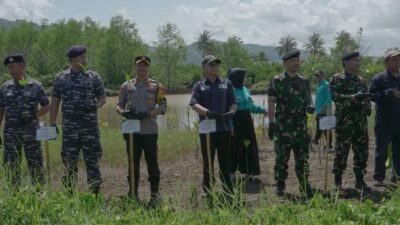 Lindungi Abrasi, UNHAN Tanam 5000 Mangrove di Pantai Palangpang