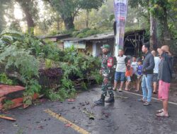 Pohon Tumbang Nutupi Jalan Raya Sukabumi-Bogor, Lalin Sempat Lumpuh