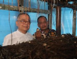 Panen Jamur Merang Semi di Nyalindung Kab Sukabumi, Wabup Iyos Somantri : Kerja Positif, Patut Dicontoh