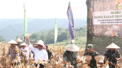 KSAD dan Mentan Hadiri Panen Raya di Food Estate Ciemas, Bupati Sukabumi Turut Mendampingi