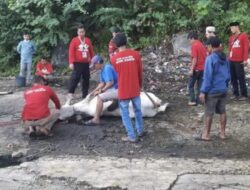 Berbagi Dihari Qurban, Polres Sukabumi Potong 12 Ekor Sapi dan 15 Domba