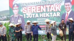 Prognas Penanaman Jagung 1 Juta Hektar, Kabupaten Sukabumi Tanam Seluas 70 Hektare