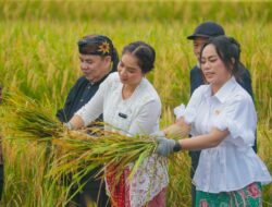 Okupansi Perhotelan di Kota Bogor Menurun, Kemenpar Beri Dukungan Pengembangan Wisata