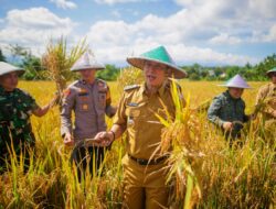 Panen Raya Padi Bareng Presiden, Dedie Rachim Dukung Kemandirian dan Ketahanan Pangan