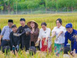 Panen Raya di Kampung Tematik AEWO Mulyaharja Kota Bogor, Perkuat Ketahanan Pangan dan Pariwisata