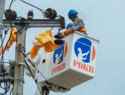 PLN Optimalkan Tim PDKB demi Pemeliharaan Jaringan Listrik Tanpa Padam