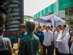Sekam Bakar dan Tanaman Hias Kota Bogor Tembus Negeri Kincir Angin