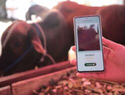 Pastikan Hewan Qurban Layak dan Sehat, DKPP Kota Bandung Lakukan Pemeriksaan Libatkan Tim Ahli dan Teknologi Digital