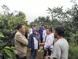 Pastikan Program Swasembada Pangan Berjalan, Kepala PPVTPP Kementan RI Kunjungi Poktan di Sukabumi