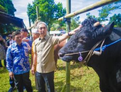 Jelang Idul Adha 1446 H Bursa Hewan Qurban di Kota Bogor Resmi Dibuka,