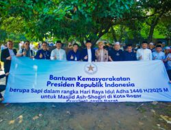 Presiden Prabowo Salurkan Hewan Kurban Sapi Jenis Brahman Cross 1,5 ton ke Ponpes As-Shogiri Kota Bogor