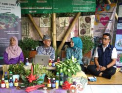 Perkuat Ketahanan Pangan, Ketua TP PKK Kota Bogor Dorong Pemanfaatan Pekarangan Rumah