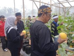 Bupati Sukabumi Tinjau Agrowisata Kampung Melon desa Sukajaya