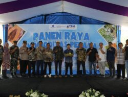 Panen Raya Pepaya California di Desa Cidolog Ciamis, Sinergi Bangun Ekonomi Desa Berkelanjutan