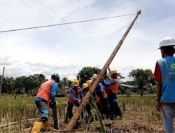 PLN Sukabumi Gerak Cepat Pulihkan Jaringan Listrik Terdampak Banjir di Sukabumi