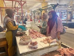 Setelah Sempat Naik, Saat ini Harga Daging Ayam Kembali Normal
