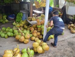 Hendra Herdiansah, Penjul Kelapa Muda dan Pisang Warnai Geliat Ekonomi Masyarakat Pesisir Citepus Palabuhanratu