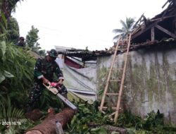 Rumah Warga Tertimpa Pohon di Kadudampit, Babinsa Koramil 0607-09/CST Bantu Evakuasi 