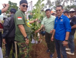 Semangat Peduli Lingkungan, PWI Kabupaten Sukabumi Gandeng Mitra Kerja Lakukan Penanaman Ribuan Pohon di Lahan Kritis
