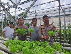 Greenhouse Hidroponik di Loji Simpenan Suplai Sayuran untuk Program MBG Polres Sukabumi