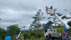 Terangi Pelosok, PLN UP3 Sukabumi Akselerasi Ekonomi Desa Melalui Program Lisdes