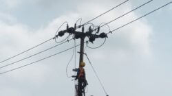 Pasokan Listrik Sukabumi Makin Kokoh, PLN Garap Pemeliharaan Serentak di 3 Jalur Utama
