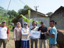 Wujud Kepedulian, PLN Sukabumi dan YBM Salurkan Daging Kurban untuk Masyarakat