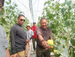 Peluncuran SAM FARM Greenhouse, Destinasi Agrowisata Berbasis Smart Farming