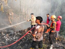Kebakaran Lahan Bambu di Cisarua Sukabumi, Api Nyaris Merambat ke Permukiman