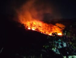 Kebakaran Lahan Alang-Alang di Ciemas Sukabumi Hanguskan 1,5 Hektare, Nyaris Merembet ke Rumah Warga