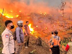 18 Hektare Lahan Perhutani di Jampangtengah Terbakar, Api Belum Sepenuhnya Padam