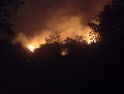 Karhutla di Pabuaran Meluas, Sekitar 4 Hektare Lahan dan Hutan Bambu Terbakar