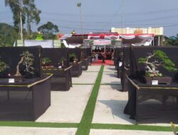 Festival Bonsai Nasional di Jampangtengah, Targetkan Sukabumi Jadi Poros Bonsai Indonesia