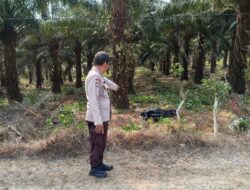 Diduga Rem Blong, Dua Warga Tamanjaya Tewas dalam Laka Tunggal di Ciemas